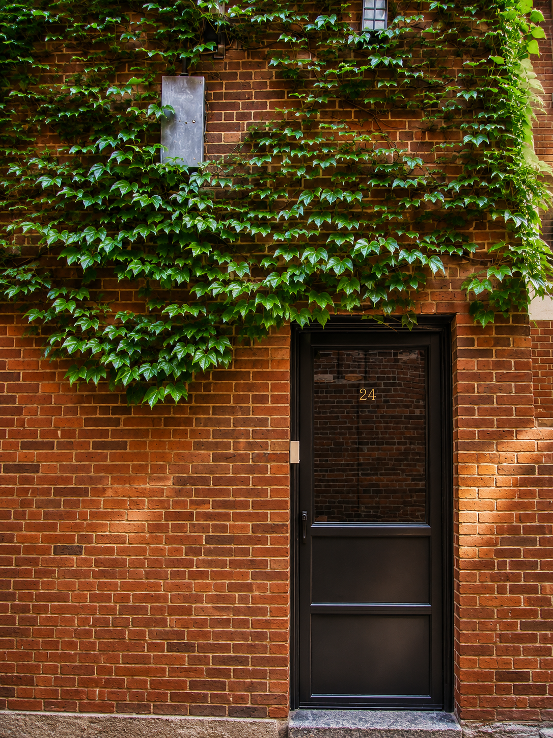 Tenant experience